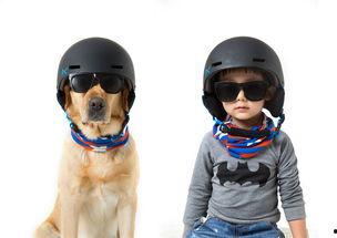 小护和小七的照片,温馨瞬间，定格友谊永恒